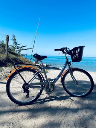 L'Ile à vélo - Location de vélos/Vente/Réparation 