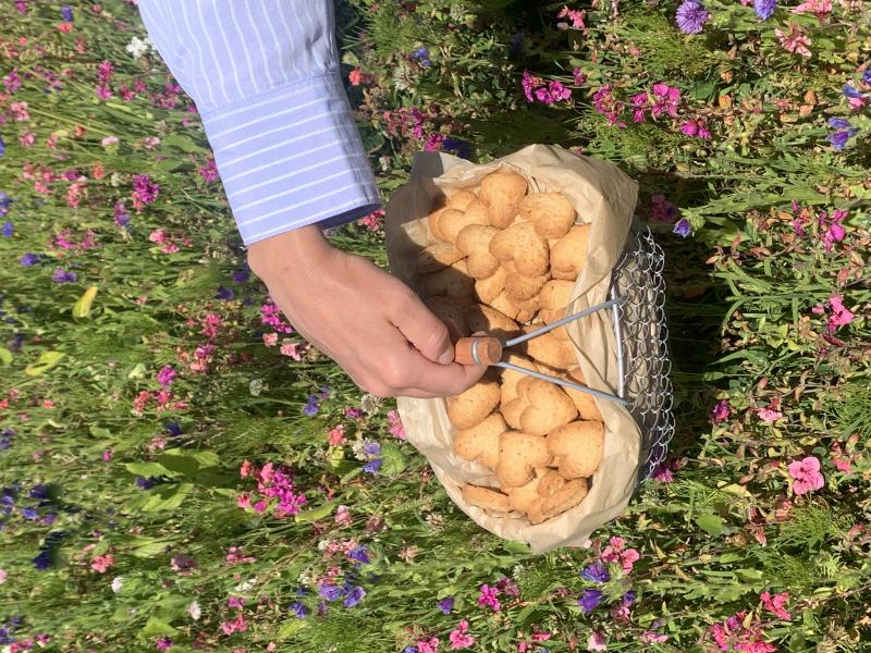Les Petits Cagniotes - Biscuiterie artisanale/produits régionaux