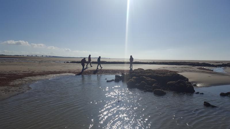 16 mai 2026 - Balade autour des Récifs d'Hermelles avec Marie Grué