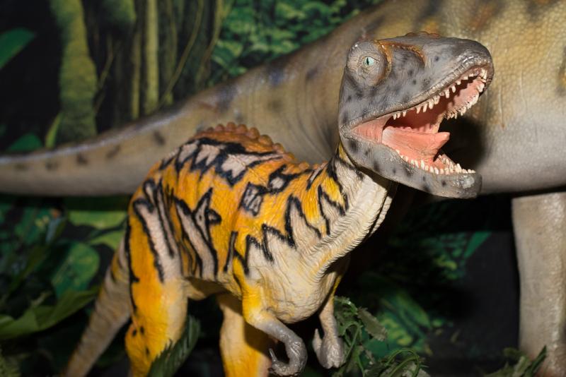 19 août 2026 - Exposition de dinosaures