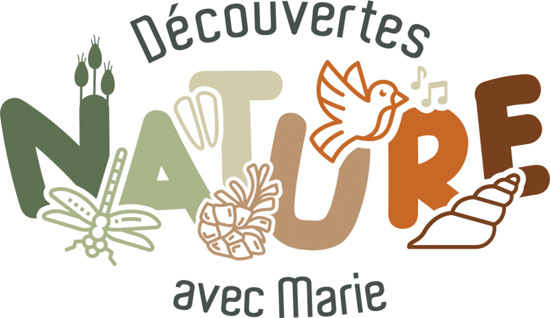 23 février 2026 - Pêche dans les rochers au Vieil avec Marie Perray