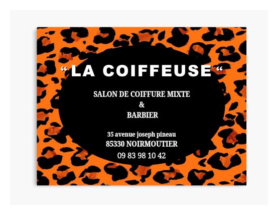 La Coiffeuse - Coiffure mixte/Barbier