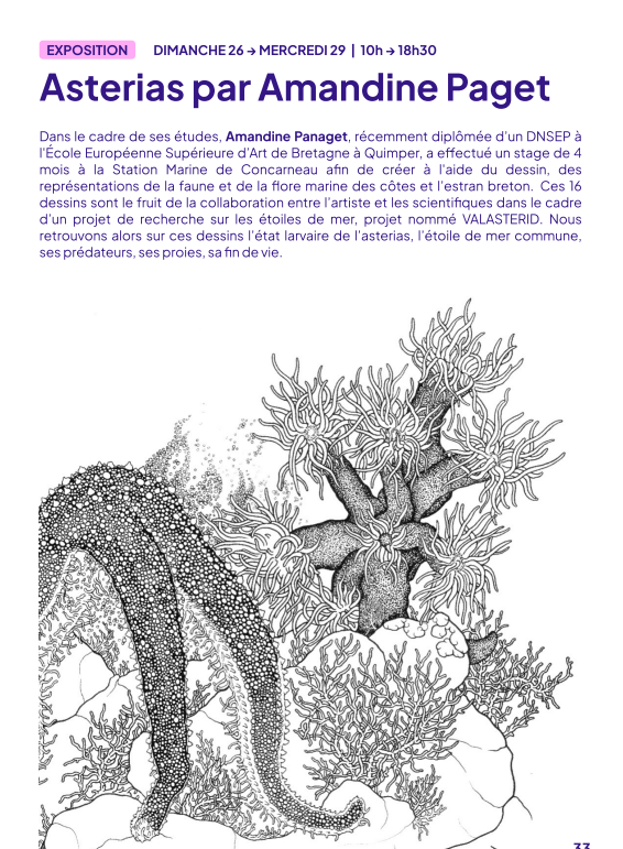 Du 25 au 29 octobre 2025 -  Expositions de la 11ème édition du Festival des Sciences