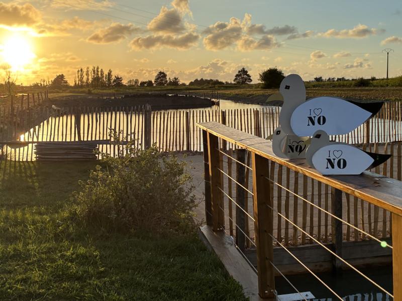 Le Bouclard des Petits Bassets - Bar à huîtres