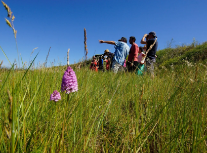21 décembre 2025 - Balade sur l'estran au Vieil avec Jean-Noël PITAUD