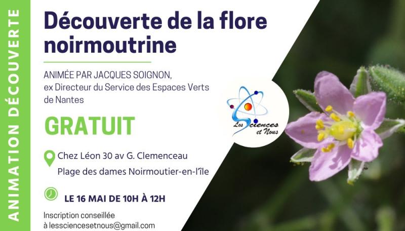 16 mai 2026 - Découverte de la flore noirmoutrine