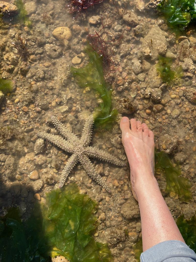31 juillet 2025 - Pêche dans les rochers au Vieil avec Marie Perray