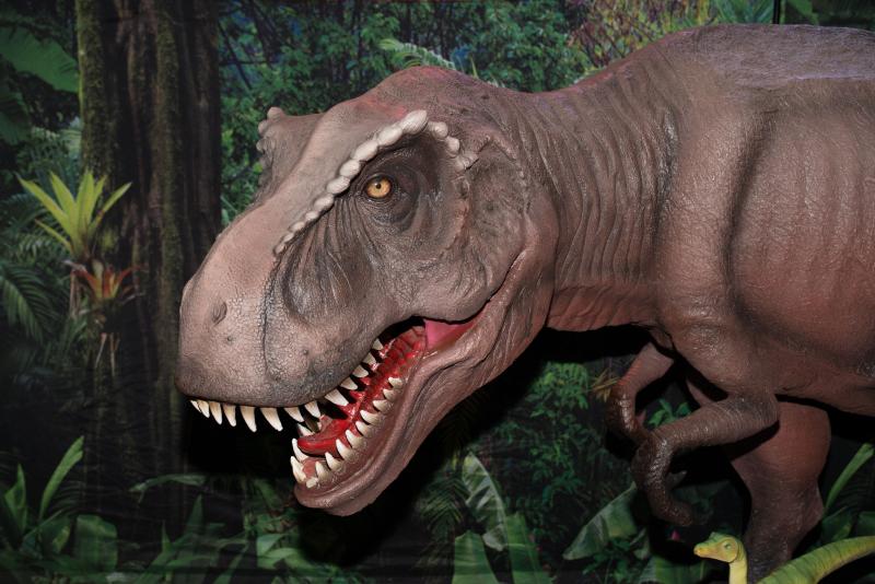 19 août 2026 - Exposition dinosaures