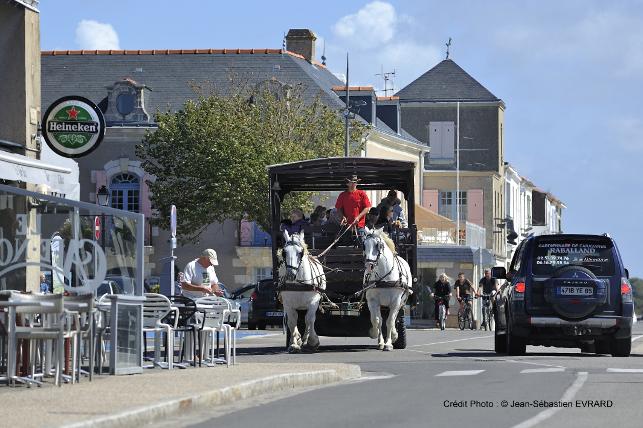 Hippobus de l'île - balades en hippobus