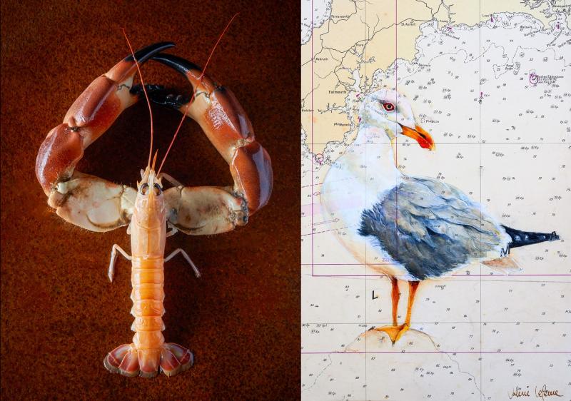 Du 10 au 16 août 2026 - Exposition : "Photographies de créatures marines et aquarelles naturalistes" par Valérie et Xavier LEFEVRE