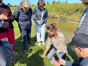 18 août 2025 - Découverte des plantes sauvages avec Léna Hallais