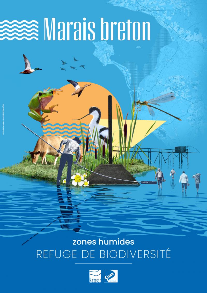 21 juin 2025 - Sortie nature : Des algues et des oiseaux