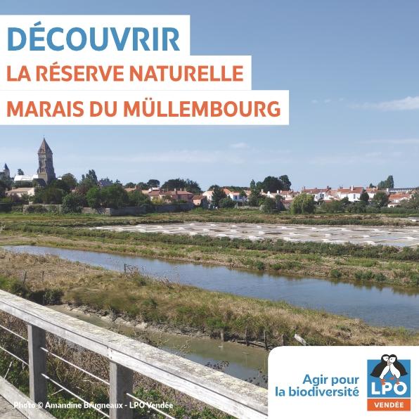 18 septembre 2025 - Balade guidée dans la Réserve Naturelle de Müllembourg avec la LPO