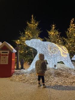 Du 1er décembre 2025 au 17 janvier 2026 - Illuminations de Noël