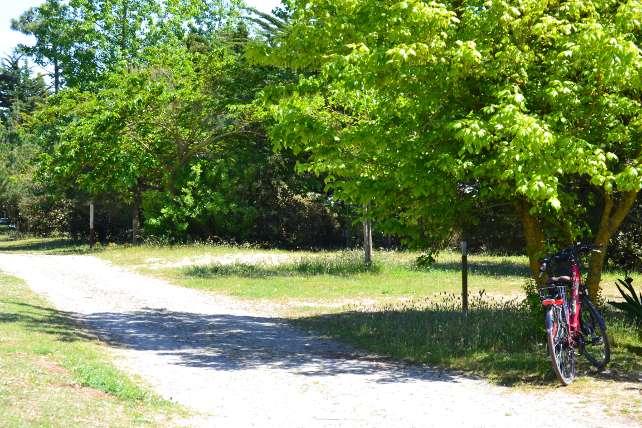 Municipal Campsite la Court