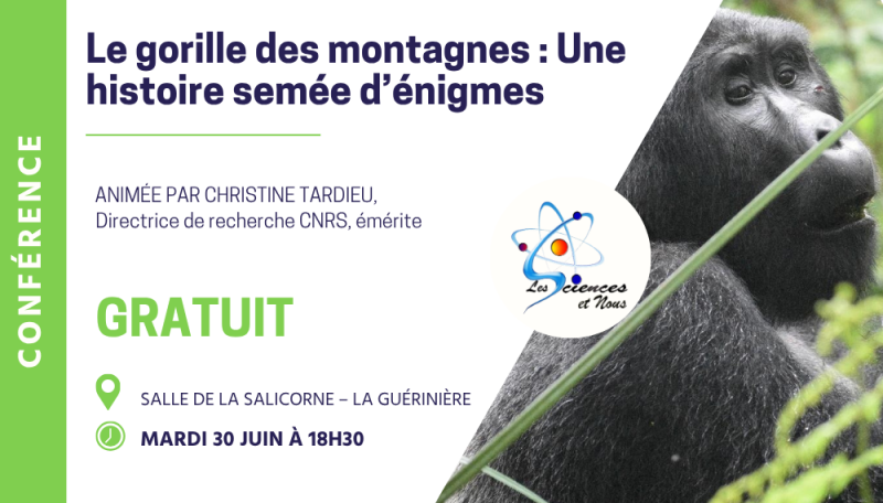 30 juin 2026 - Conférence : Le gorille des montagnes : Une histoire semée d'énigmes