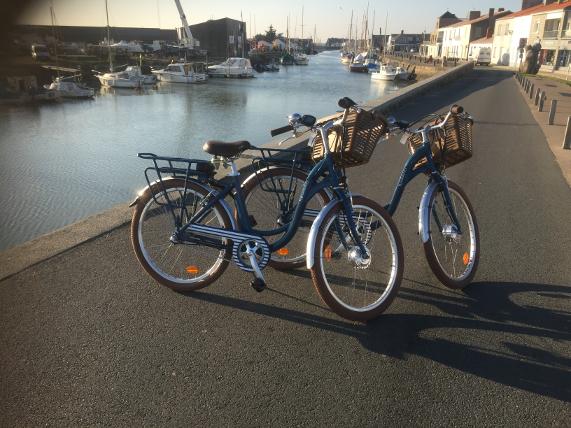 Bazar Bonnichon - Location de vélos classiques et électriques/Vente de vélos neufs et d'occasion 