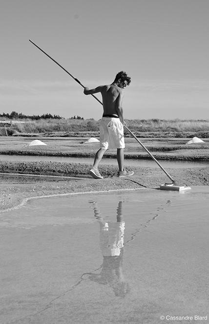 Marais salant Bonne Pogne