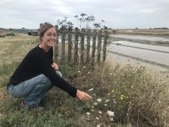18 août 2025 - Découverte des plantes sauvages avec Léna Hallais