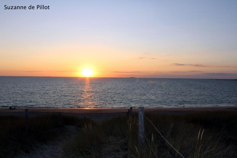 22 avril 2026 - Balade crépusculaire avec Suzanne de Pillot