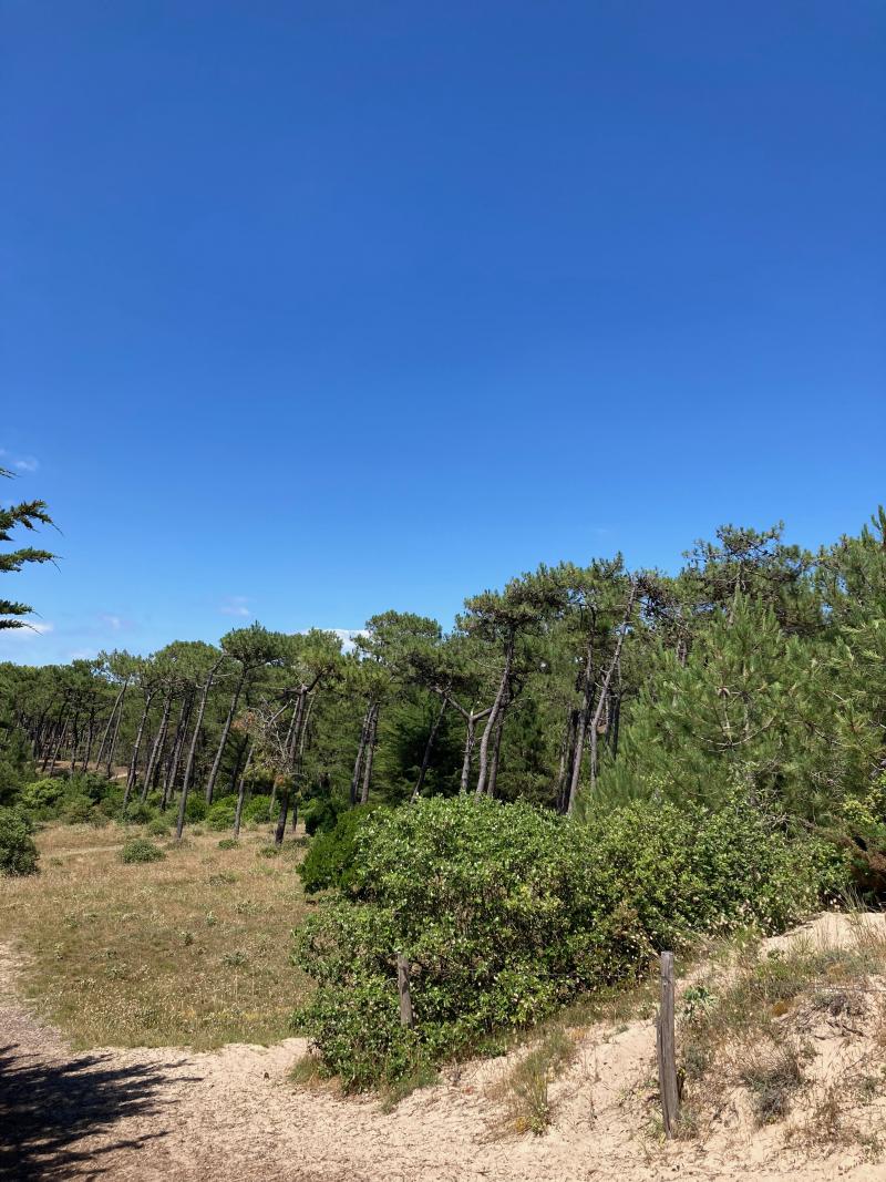 29 décembre 2025 - Balade iodée en famille