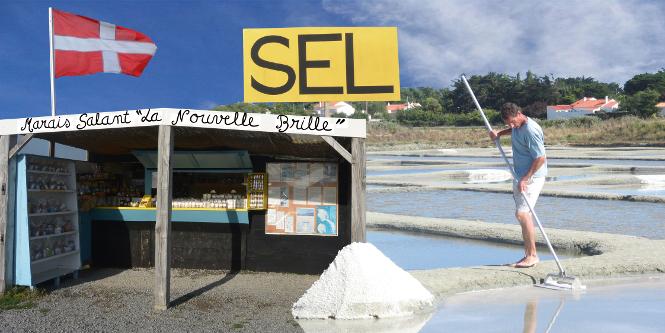 La Nouvelle Brille Salt Marshes