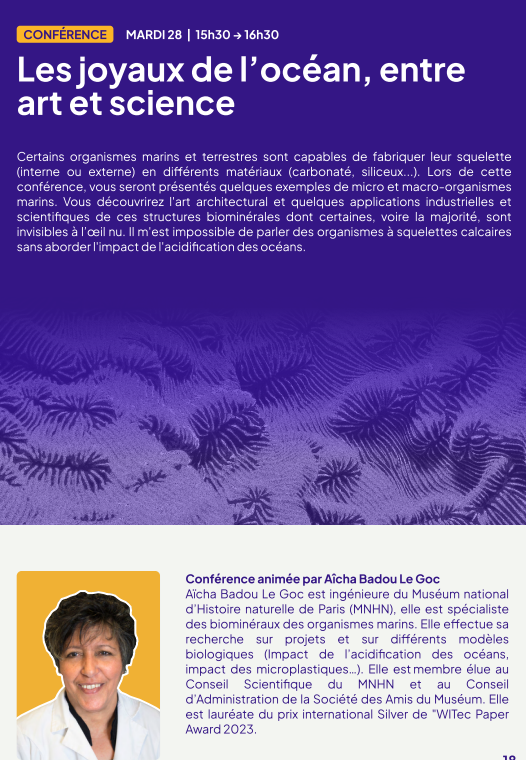 Du 26 au 29 octobre 2025 - Festival des Sciences : Les conférences Du 26 au 29 octobre 2025 - Festival des Sciences : Les conférences