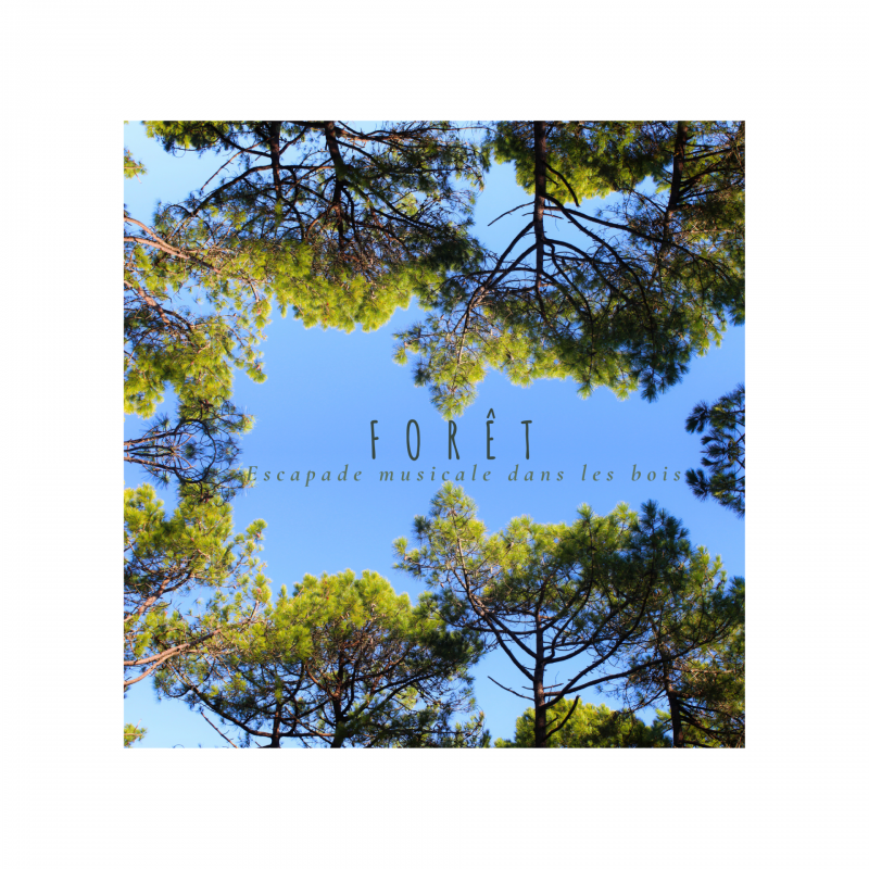 11 août 2026 - FORET - Escapade musicale dans les bois aux Éloux