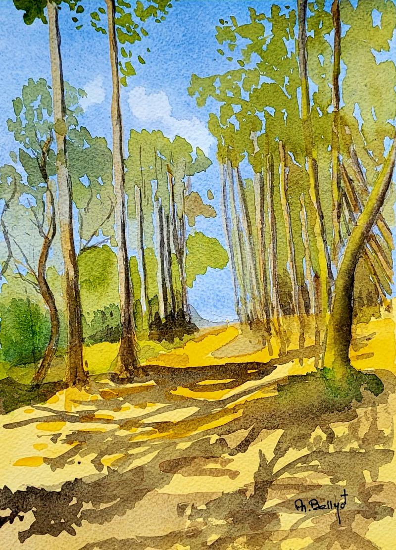 Du 11 au 17 août 2025 - Exposition Exposition d'aquarelles, lumière et beauté de de l'Ile par Philippe BALLYOT