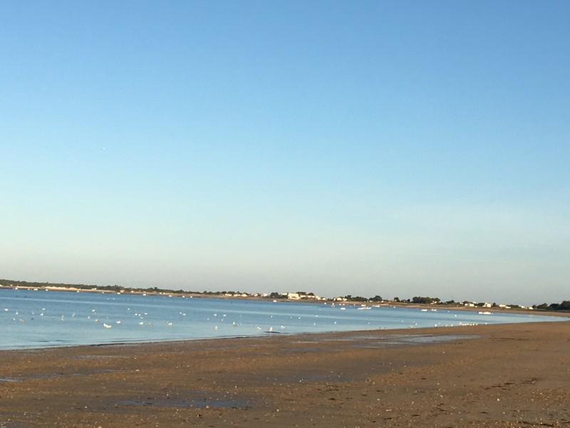 M. DE CHALAIN Maison mitoyenne 4 personnes