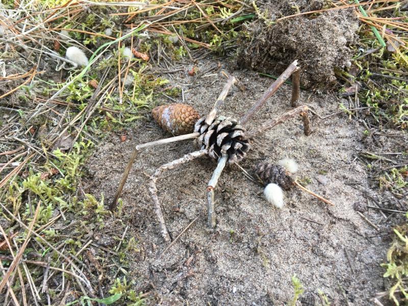 20 octobre 2025 - Ateliers nature enfants-parents
