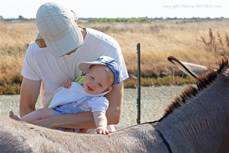 1er mai 2026 - Promenade Âne'ormale avec Suzanne de Pillot