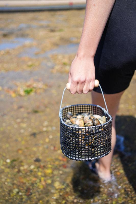 30 juin 2025 - Sortie découverte pêche à pied