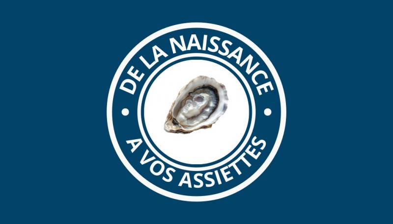 Du 21 au 26 octobre 2025 - Visite guidée : De la Naissance à Vos Assiettes par Sébastien PÉNISSON