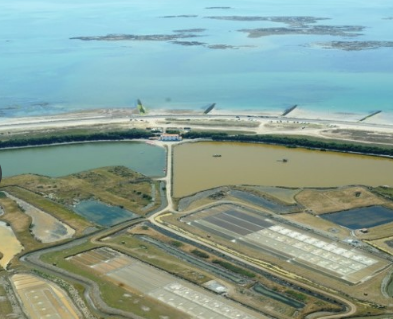 29 mai 2025 - Sentier découverte « Entre mer et terre » Histoire d’eau Zone humide de la pointe du Devin avec Marie Grué