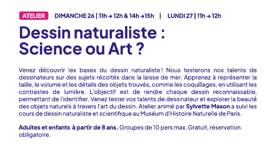 26 octobre 2025 - Festival des Sciences JOUR 2