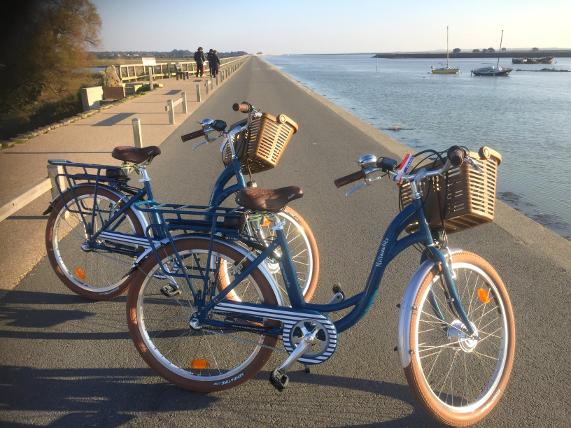 Bazar Bonnichon - Location de vélos classiques et électriques/Vente de vélos neufs et d'occasion