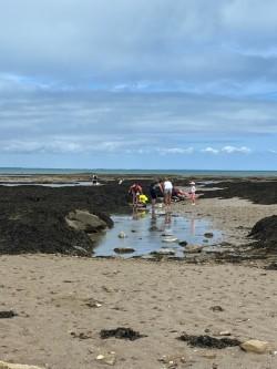 23 février 2026 - Pêche dans les rochers au Vieil avec Marie Perray