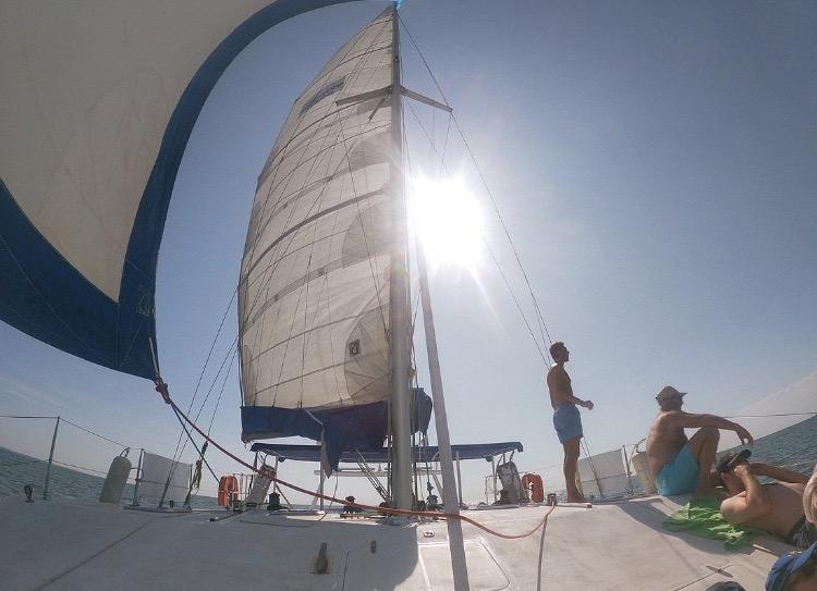 Cap Océan Croisière - balade et pêche en mer en catamaran