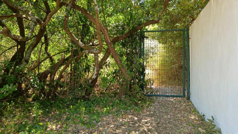 MAIS BF08202 / Noirmoutier : Maison de vacances côté dune pour 7 personnes avec accès direct à la plage