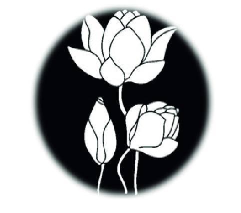 3 mars 2026 - Cours de Yoga avec Souffles de Vie