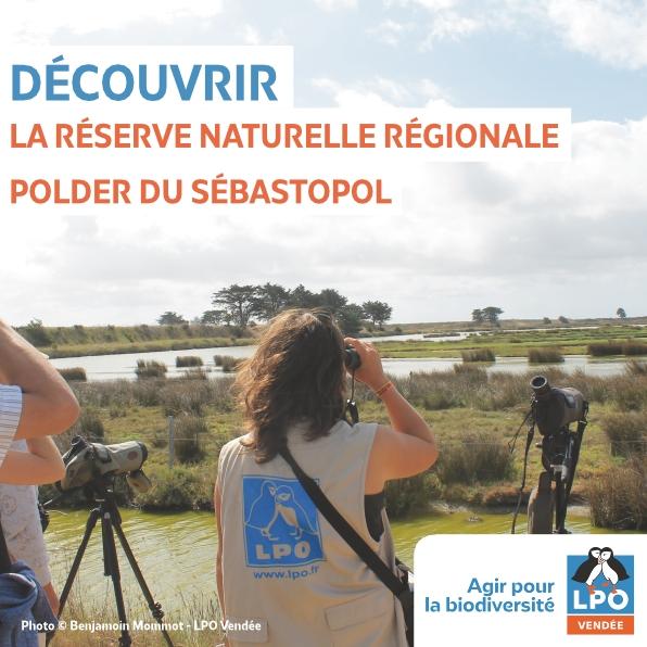 15 mai 2026 - Balade ornitho avec la LPO dans le Polder de Sébastopol
