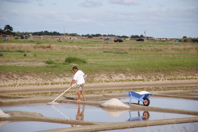 Marais salant Les Angibauds