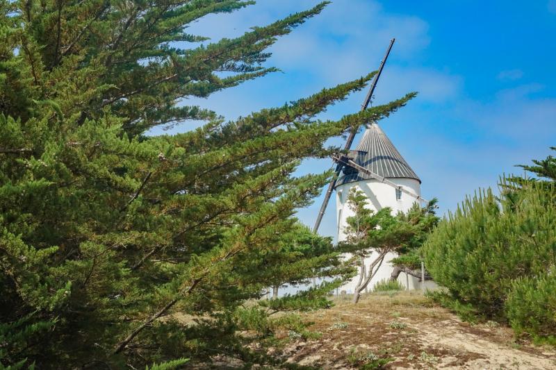 23 mai 2025 - Visite guidée : La Guérinière : mémoire et tradition au fil du temps