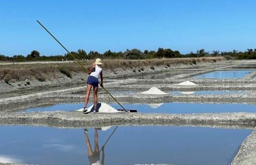 Marais salants Les Cholleaux par Laurence