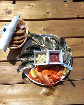 Istreg - Dégustation huîtres