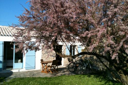 Locations de Vacances - Maison 2 pièces 2 pers. - Noirmoutier en l'île - REF NO000-37P