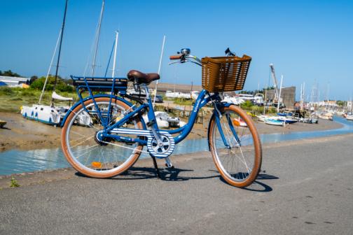 Bazar Bonnichon - Location de vélos classiques et électriques/Vente de vélos neufs et d'occasion 