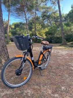 L'Ile à vélo - Location de vélos/Vente/Réparation