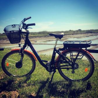 L'Ile à vélo - Location de vélos/Vente/Réparation